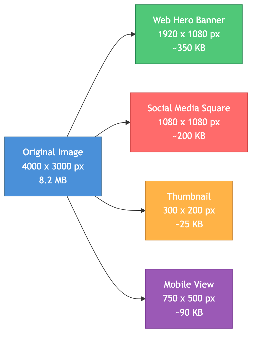 Same image resized for different use cases including web hero, social media, thumbnail, and mobile